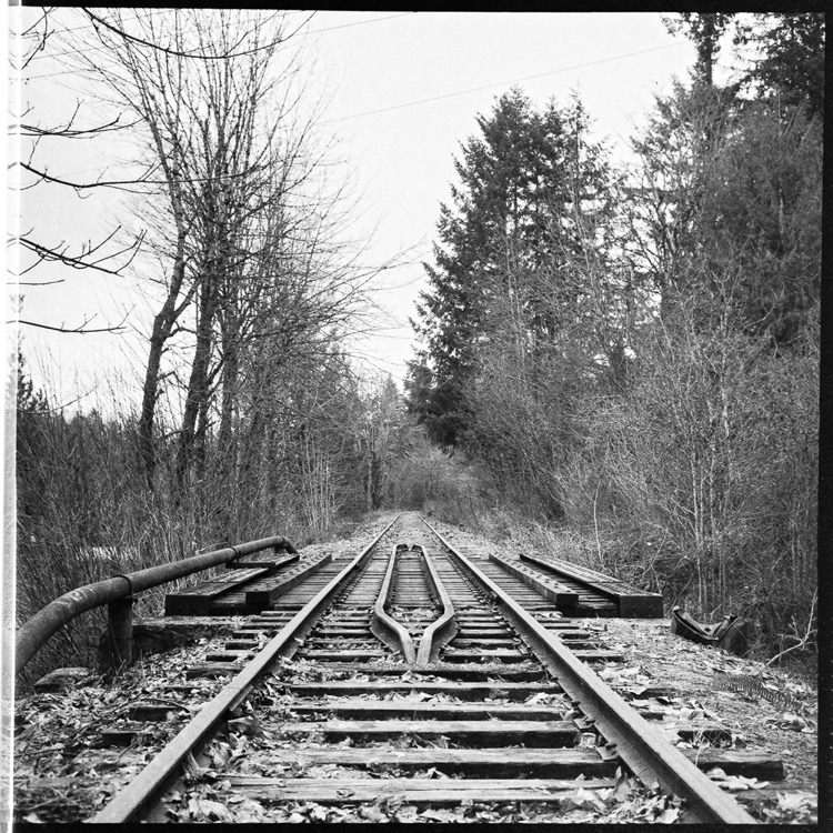 Cowichan Station Crossing