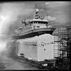 Expired-01-June-2.jpg
