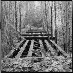 Relics-2024-1.jpg
