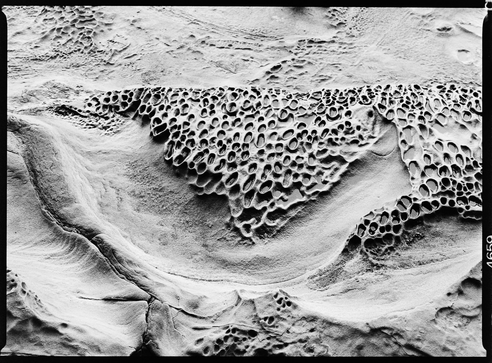 Honeycomb Tafoni, Malaspina Galleries