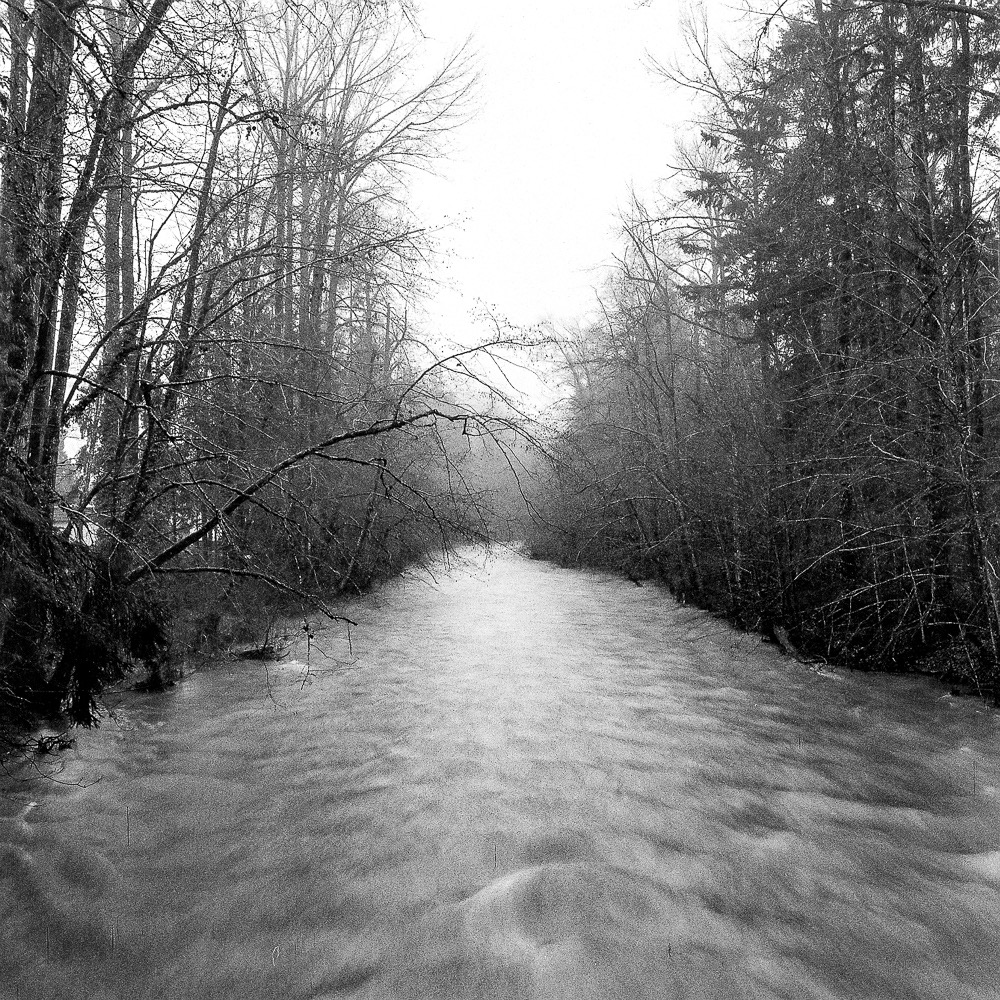 High Water, Haslam Creek