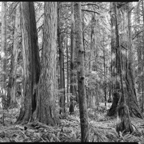 ARBOR-1-5.jpg