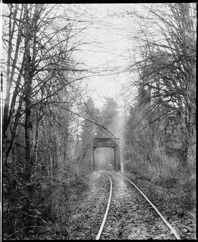 RAIL DREAMS-4.jpg