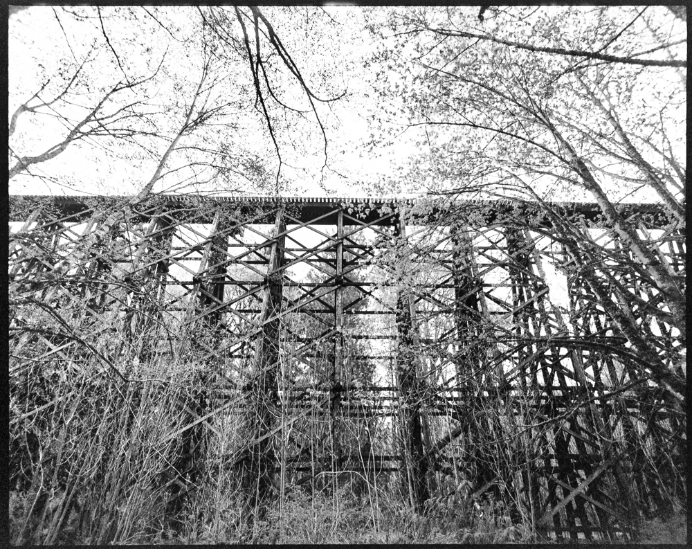 RAIL DREAMS-8.jpg