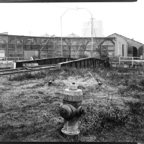 RAILS-2.jpg