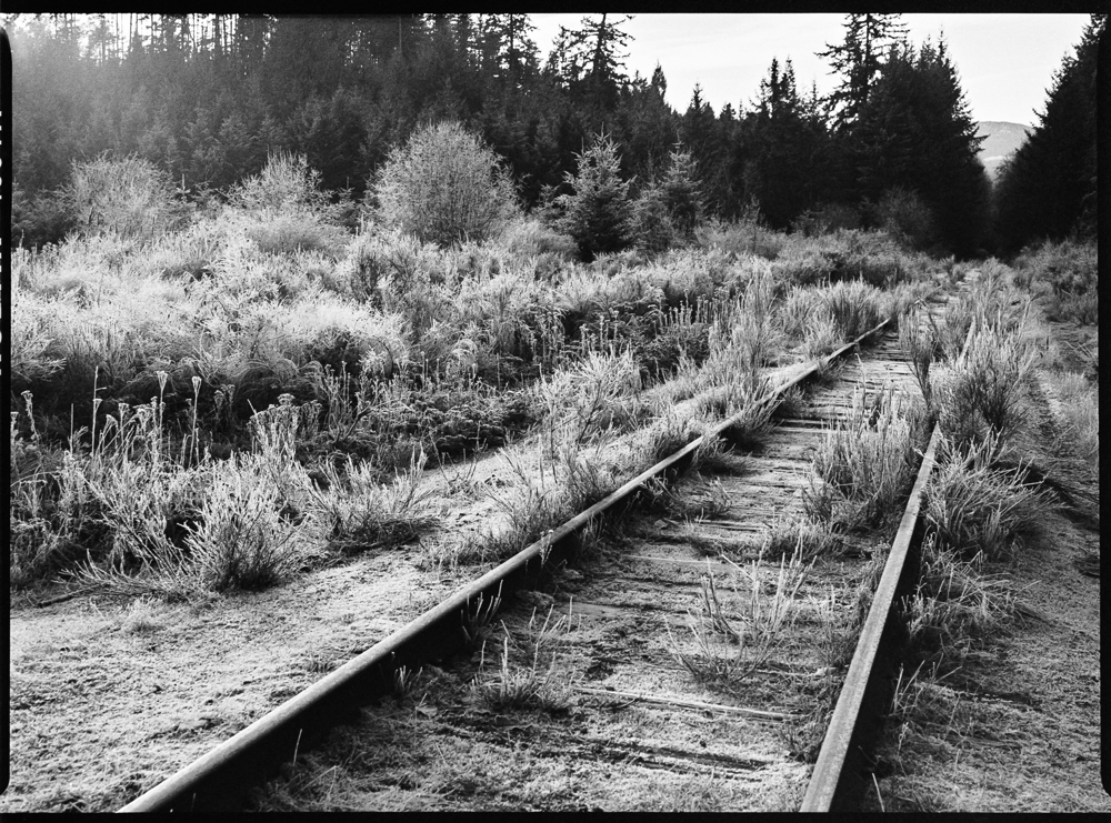 RAILS-3-4.jpg