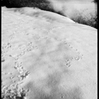 STORIES-4-2.jpg