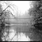 NATURES WAY-1-4.jpg