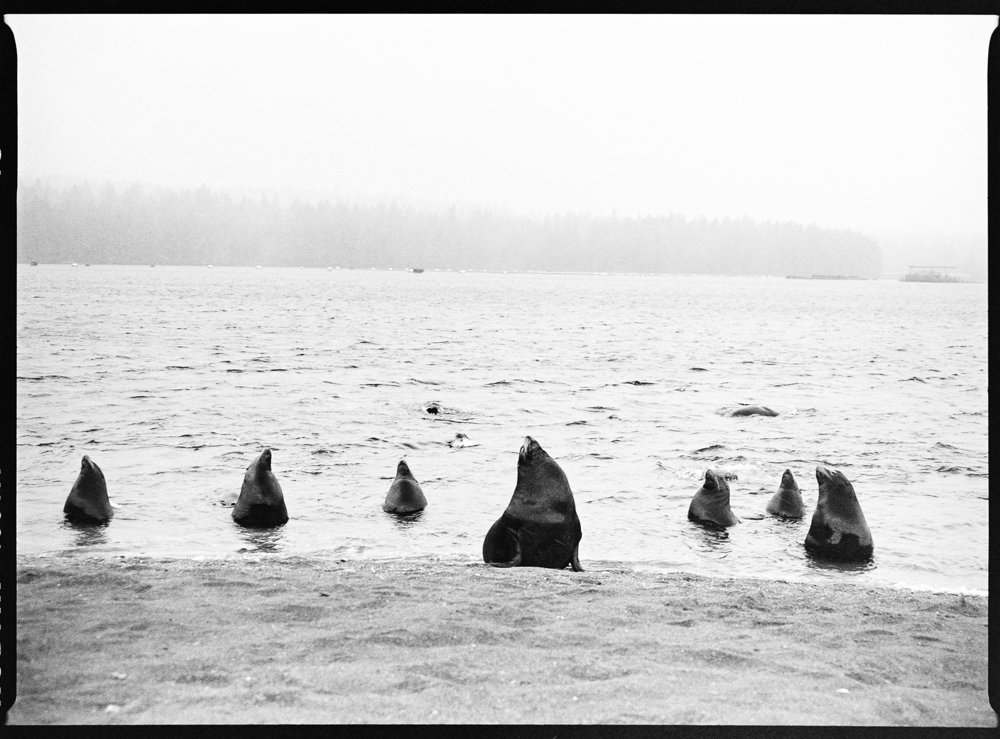 7 Chinese Brothers (swallowing the ocean)