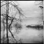 NATURES WAY-1-6.jpg