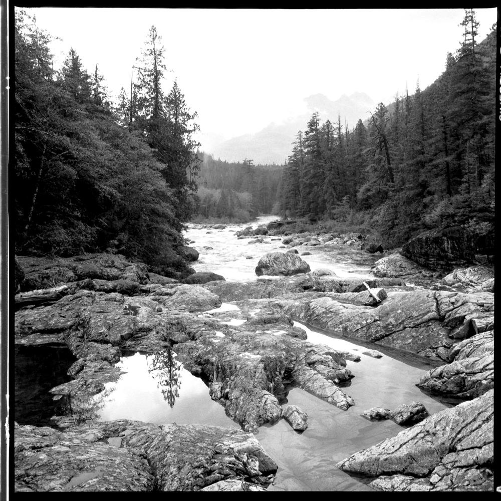 Along the Kennedy River, Vancouver Island