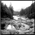 NATURES WAY-1-7.jpg
