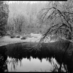 NATURES WAY-2-4.jpg
