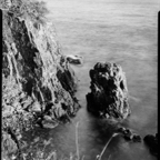 NATURES WAY-3-2.jpg