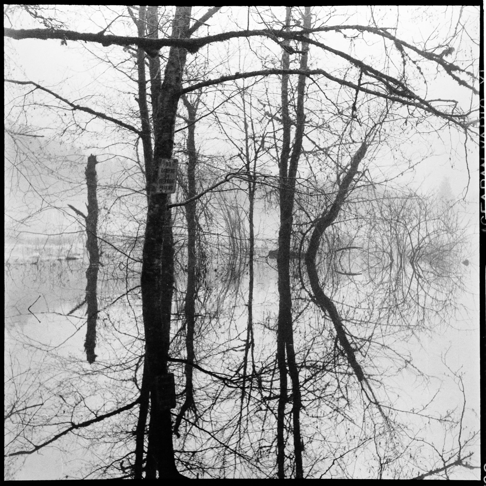 No Camping, Blackburn Lake - flooded