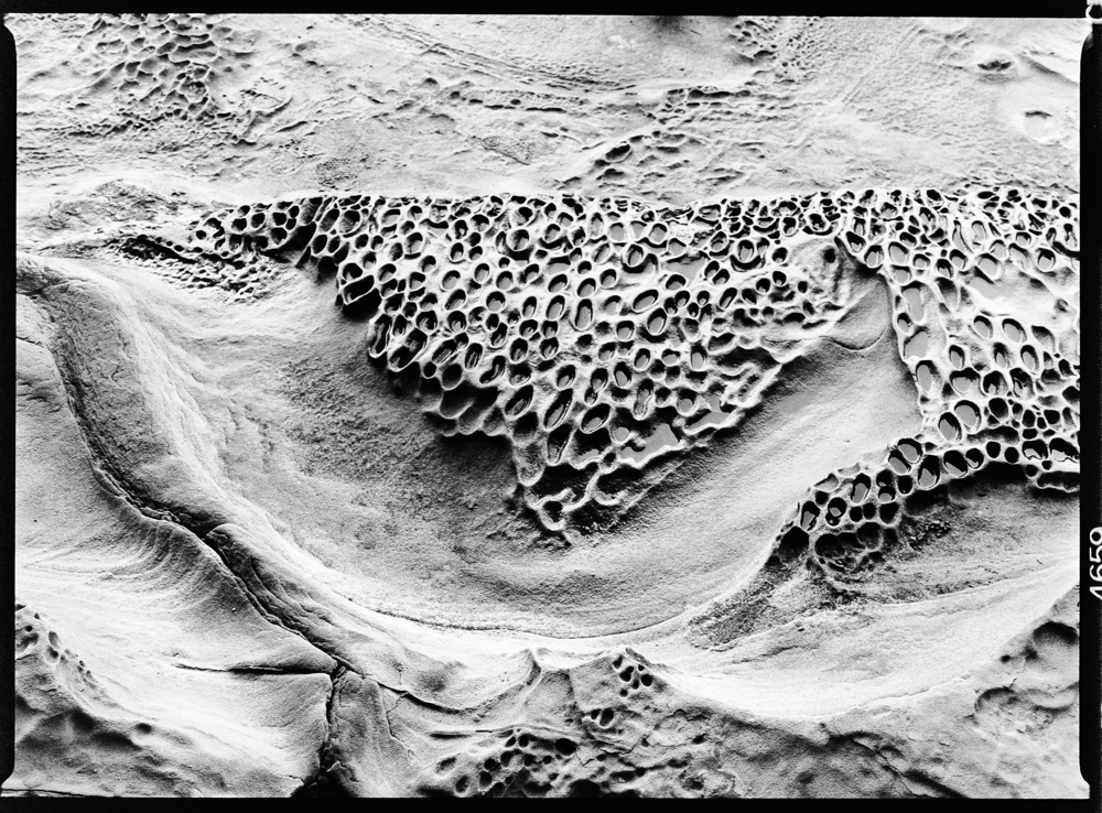 Dripping Tafoni, Malaspina Galleries, Gabriola Island