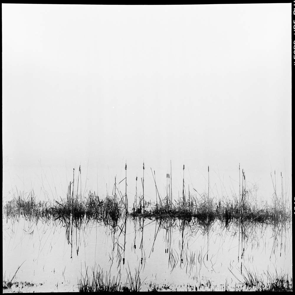 Surviving the Floodwaters, St. Mary Lake