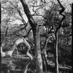 ARBOR-2-4.jpg