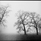 ARBOR-6-3.jpg