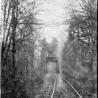 RAIL DREAMS-4.jpg