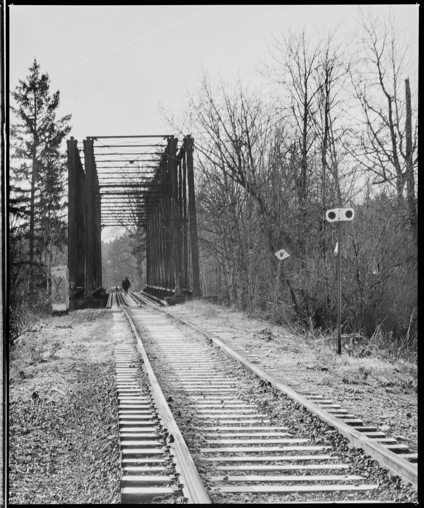 RAILS-4.jpg