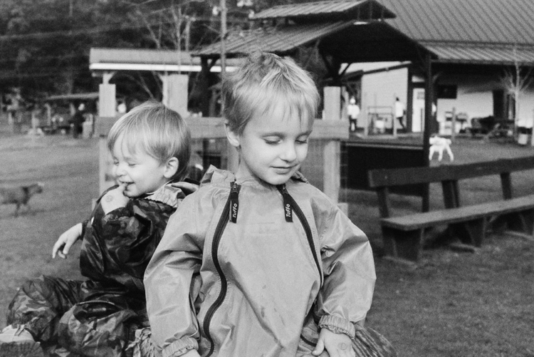 Siblings